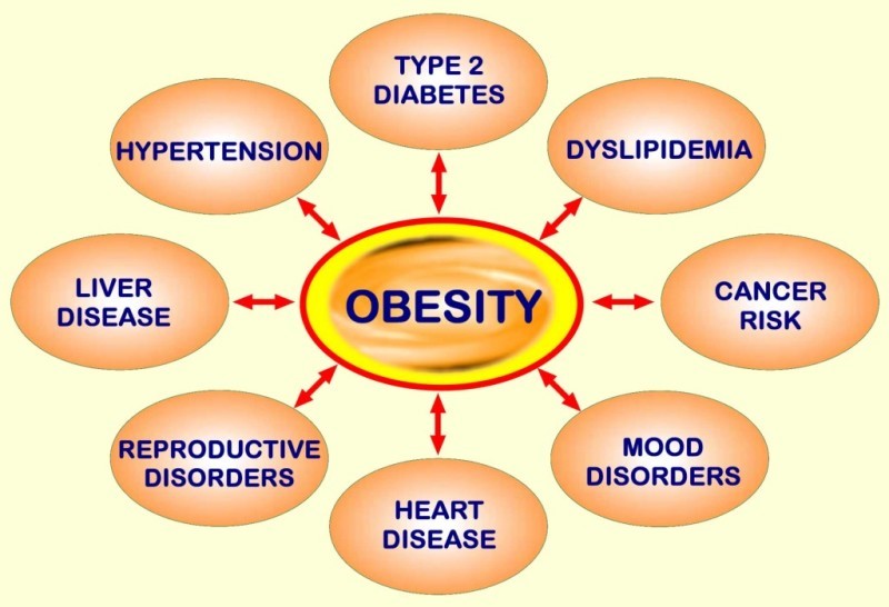 Is Obesity a Disease?