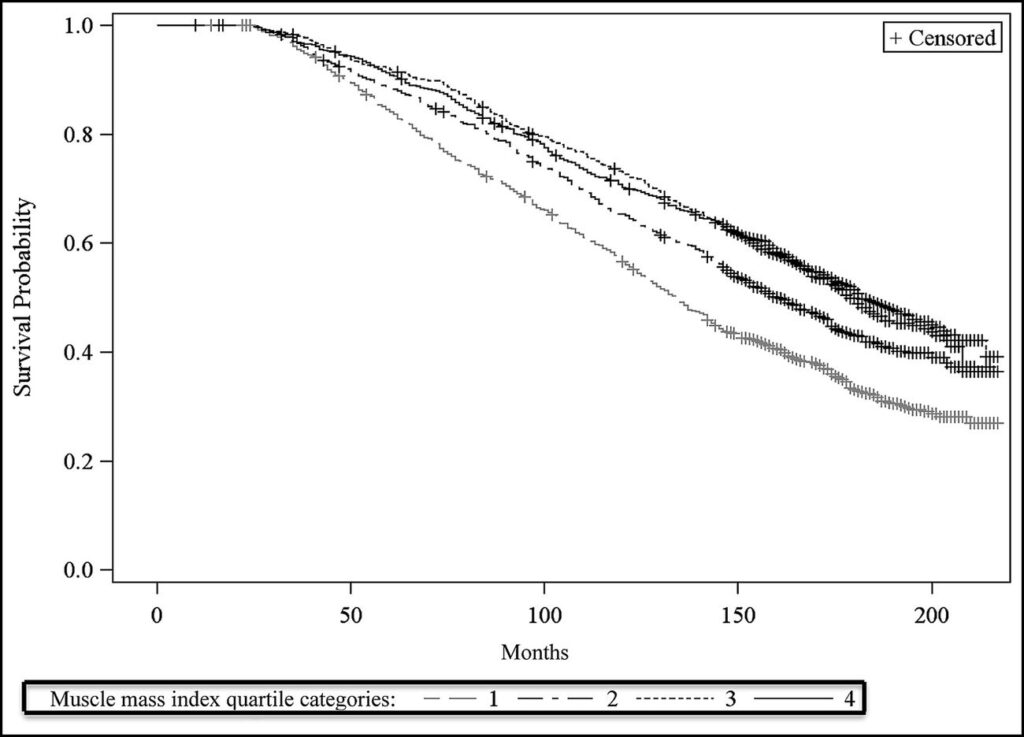 The Link Between Muscle Mass and Longevity