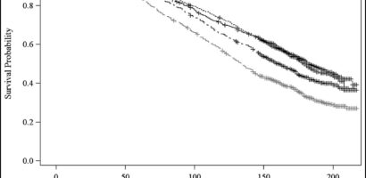 The Link Between Muscle Mass and Longevity